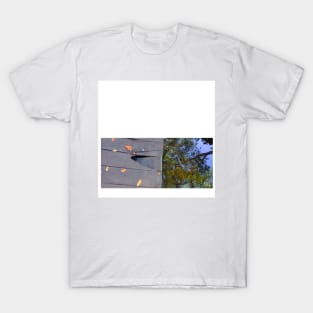 celestun ria wetland ecopark ecopop landscape photo in yucatan 1 T-Shirt